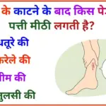 Interesting GK Quiz In Hindi: 1 पत्ती का असर ऐसा, 99% लोग नहीं जानते, सांप काटे तो मीठी क्यों लगती है