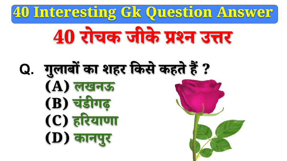 gulabo-ka-shahr-kise-khate-hai