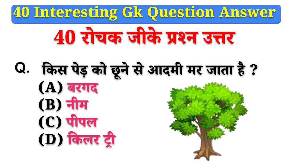 kis-per-ko-chhune-se-insan-mar-jata-hai-1